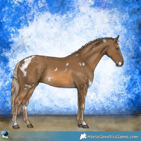 Horse Color:White Spotted Chocolate Palomino Mushroom Rabicano