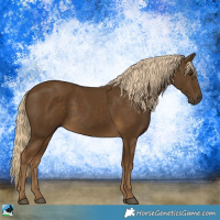 Horse Color:Chocolate Palomino Sabino 