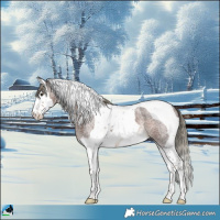 Horse Color:Liver Red Roan Mushroom Splash Tobiano 