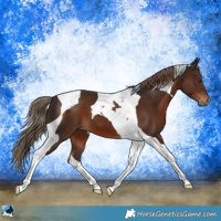 Horse Color:Liver Chestnut Tobiano 
