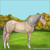 Horse Color:Chocolate Palomino Pearl Tobiano Frame  and Chocolate Palomino Pearl Tobiano Frame 