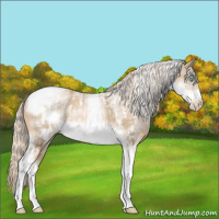 Horse Color:Chocolate Palomino Pearl Tobiano Frame  and White Spotted Chocolate Palomino Pearl Tobiano Frame 