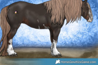 Horse Color:Liver Chestnut  and Liver Chestnut 