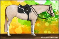 Horse Color:Buckskin Roan Pearl 