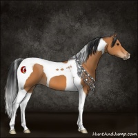 Horse Color:Bay Tobiano 