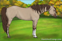 Horse Color:Liver Red Dun  and Liver Red Dun 