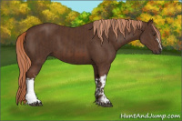Horse Color:Liver Chestnut  and Liver Chestnut 