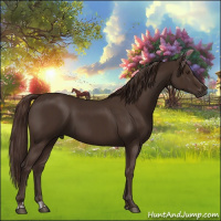 Horse Color:Liver Chestnut  and Liver Chestnut 