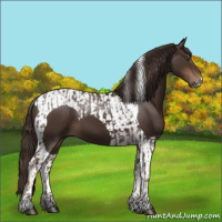 Horse Color:Liver Chestnut and Liver Chestnut Tobiano