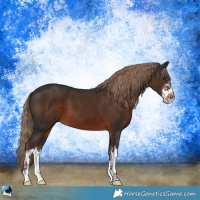Horse Color:White Spotted Liver Chestnut 