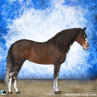 Horse Color:White Spotted Liver Chestnut Sabino Splash 
