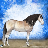 Horse Color:Bay Ice Onyx Mushroom Sabino Splash Rabicano Brindle