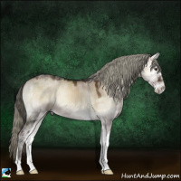 Horse Color:Liver Red Dun Ice Onyx Mushroom Sabino