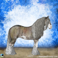 Horse Color:Liver Red Dun Mushroom Sabino Splash Rabicano Brindle