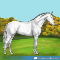 Horse Color:White Spotted Black Chinchilla Varnish 