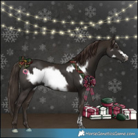 Horse Color:Liver Chestnut Tobiano  and Liver Chestnut Frame 