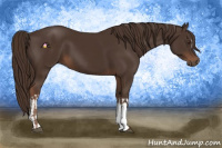 Horse Color:Liver Chestnut  and Liver Chestnut 