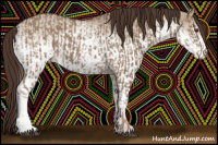 Horse Color:Liver Red Dun  and White Spotted Liver Red Dun 