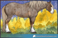 Horse Color:Chocolate Palomino Roan Sabino Rabicano 