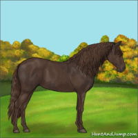 Horse Color:Liver Chestnut  and Liver Chestnut 