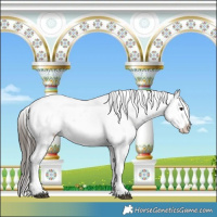 Horse Color:Buckskin Ice Sabino 