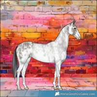 Horse Color:Grullo Sabino Rabicano 