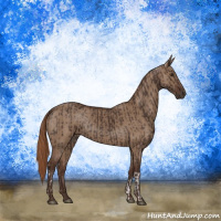 Horse Color:Liver Chestnut  and Liver Red Dun 