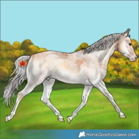 Horse Color:White Spotted Silver Classic Champagne Onyx 