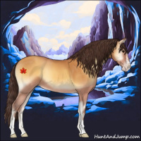Horse Color:Sable Cream Champagne Onyx Sabino 