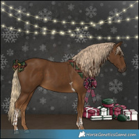 Horse Color:Chocolate Palomino Tobiano 