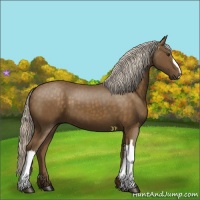 Horse Color:Chocolate Palomino 