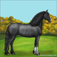Horse Color:Black Varnish Rabicano 