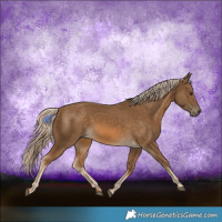 Horse Color:Chocolate Palomino 