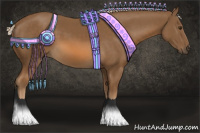 Horse Color:Chocolate Palomino 