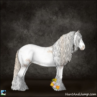 Horse Color:Red Onyx Pearl Sabino Rabicano