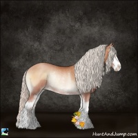 Horse Color:Silver Bay Pearl Onyx Sabino Rabicano 