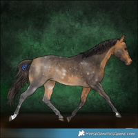 Horse Color:Buckskin Rabicano