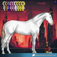Horse Color:Gray White Spotted Buckskin Pearl Splash 