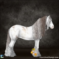 Horse Color:Blue Onyx Pearl Sabino Splash Rabicano 