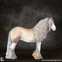Horse Color:Silver Bay Roan Pearl Onyx Splash 