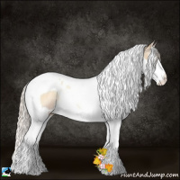 Horse Color:Palomino Pearl Onyx Sabino Splash Tobiano