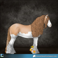 Horse Color:Bay Pearl Splash 