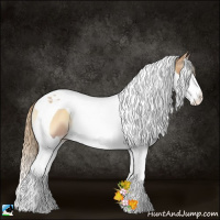 Horse Color:Red Onyx Pearl Splash Tobiano 