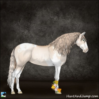 Horse Color:Gold Champagne Pearl Splash Tobiano Rabicano 