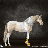 Horse Color:Red Dun Pearl Tobiano Rabicano