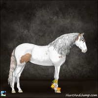Horse Color:White Spotted Liver Chestnut Pearl Splash Tobiano 