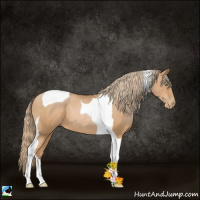 Horse Color:Chestnut Pearl Tobiano