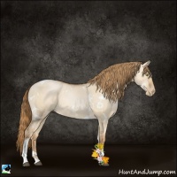 Horse Color:White Spotted Red Dun Pearl Tobiano 