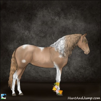 Horse Color:Liver Chestnut Pearl Tobiano 