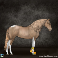 Horse Color:Liver Chestnut Pearl Tobiano Rabicano 